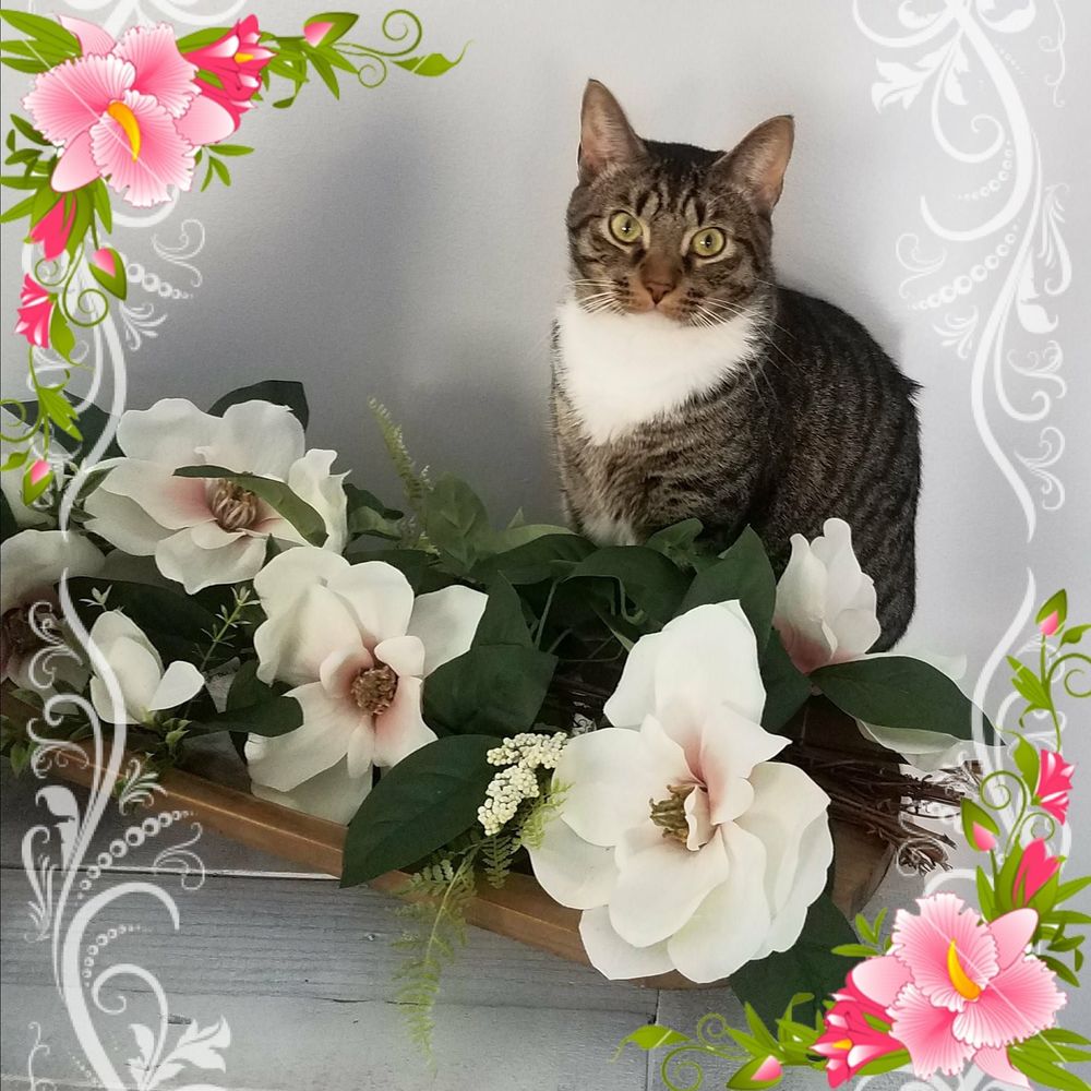 Meet your Posher, Kathy